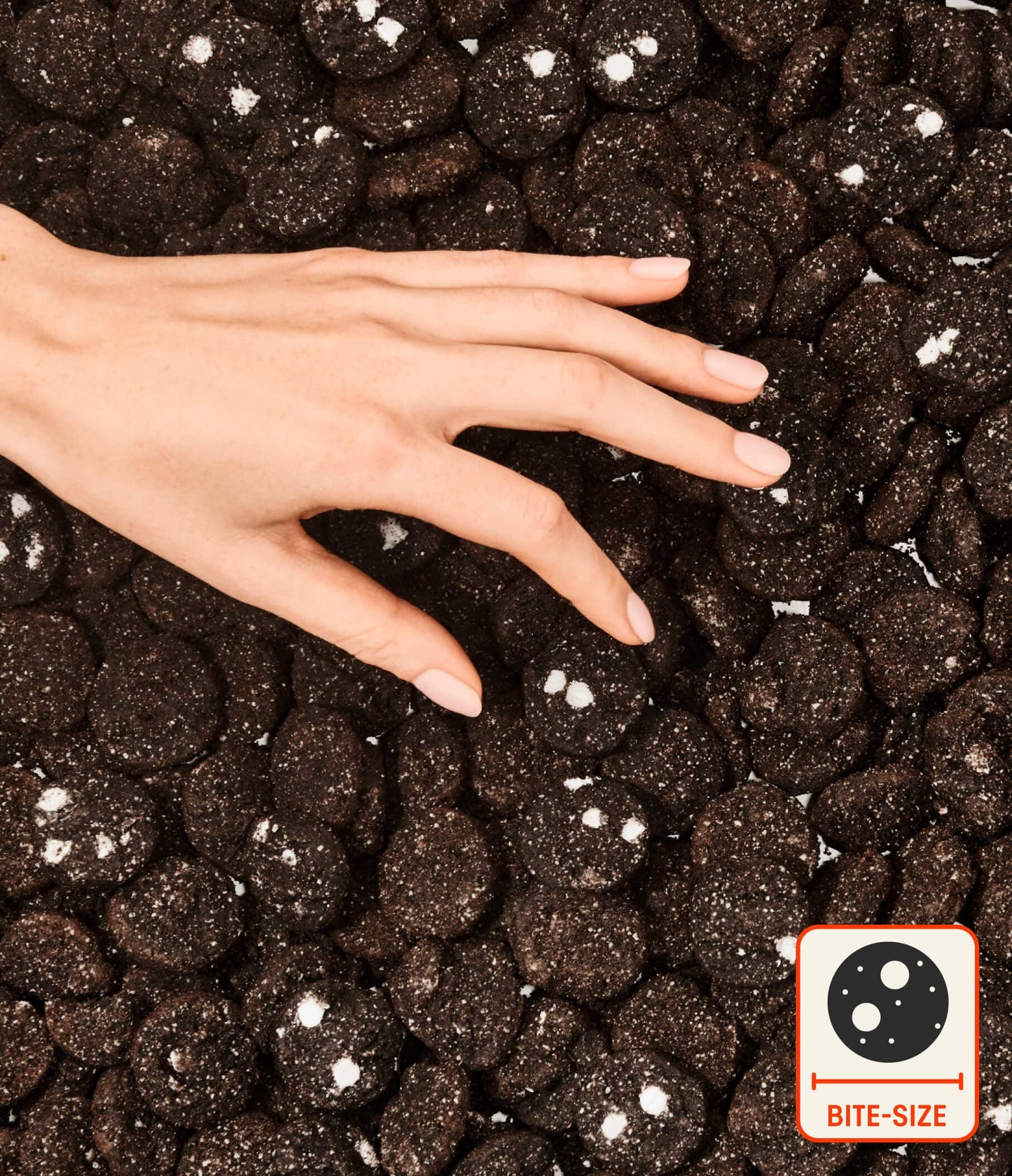 Myna Midnight Cookies 