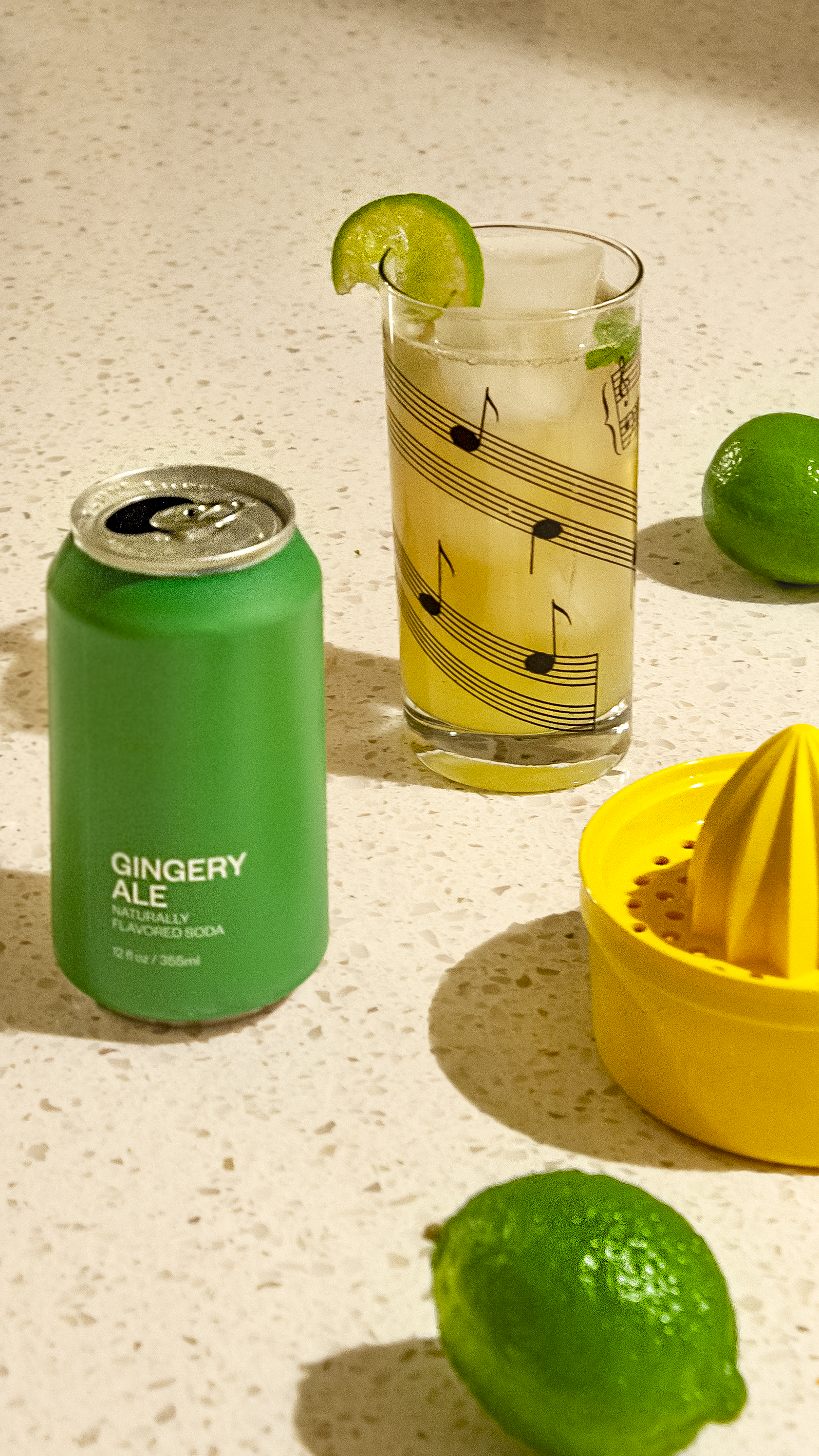 Naturally Flavored Soda - Gingery Ale